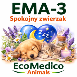 Zestaw regeneracja zwierzaka Energia + spokój