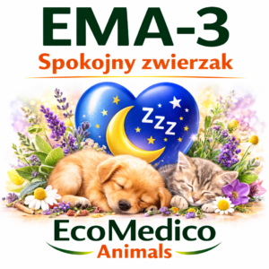 Test zdrowia zwierzaka według TCM