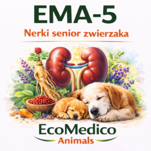 Zestaw senior zwierzaka Nerki + stawy